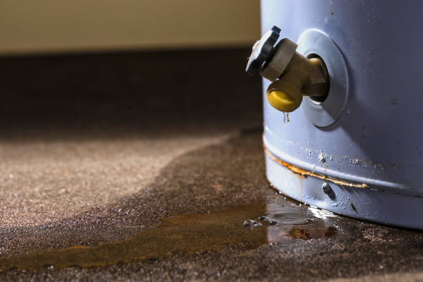Best Commercial water damage restoration  in Marion, IL