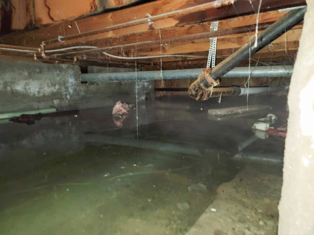 Best Emergency water damage restoration  in Marion, IL