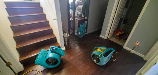 Best Flooded house restoration  in Marion, IL