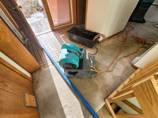 Best Water damage restoration near me  in Marion, IL