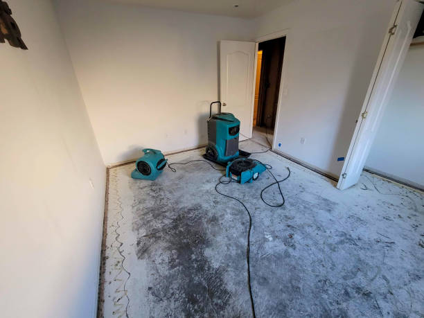 Best 24/7 water damage repair  in Marion, IL