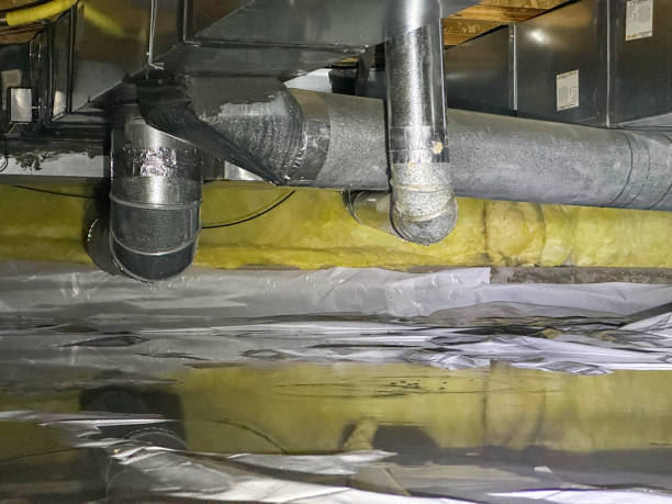 Best Water damage contractors near me  in Marion, IL