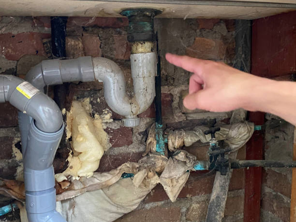 Best 24/7 water damage repair  in Marion, IL