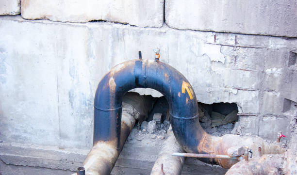 Best Sewage cleanup and water damage restoration  in Marion, IL
