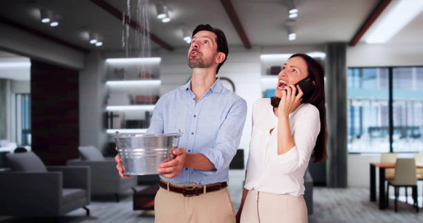 Water damage restoration insurance claims in Marion, IL